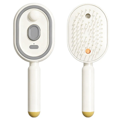 Brosse Massante Brumisatrice Professionnelle pour Cheveux